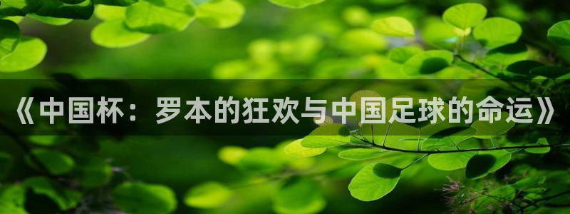 世界杯足球直播:《中国杯:罗本的狂欢与中国足球的命运》