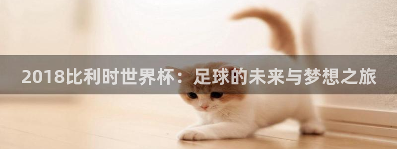 世界杯2026赛程:2018比利时世界杯:足球的未来与梦想之旅