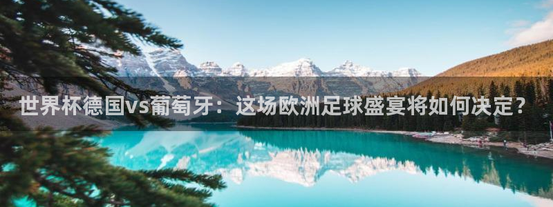 世界杯欧洲区赛程:世界杯德国vs葡萄牙:这场欧洲足球盛宴将如何决定?