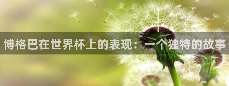 2026年世界杯赛程:博格巴在世界杯上的表现:一个独特的故事