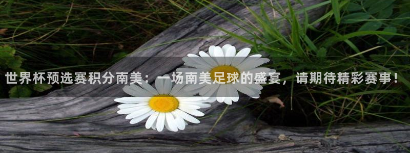 世界杯 赛程:世界杯预选赛积分南美:一场南美足球的盛宴,请期待精彩赛事!
