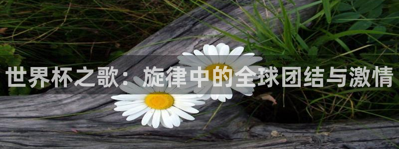 欧洲世界杯预选赛:世界杯之歌:旋律中的全球团结与激情