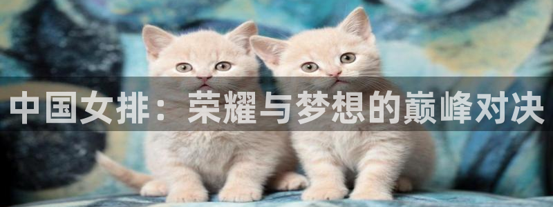 世界杯预选赛欧洲赛区积分榜:中国女排:荣耀与梦想的巅峰对决