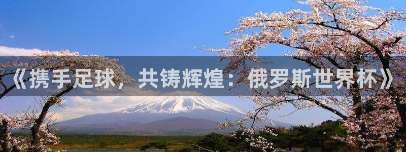 2026世界杯足球赛程时间表:《携手足球,共铸辉煌:俄罗斯世界杯》