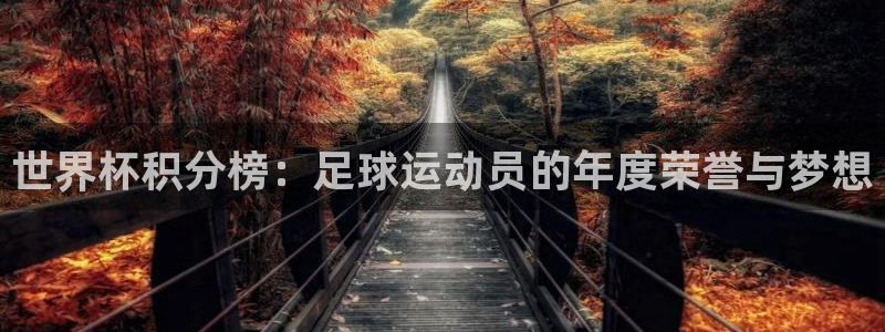 世界杯足球赛2026赛程时间:世界杯积分榜:足球运动员的年度荣誉与梦想
